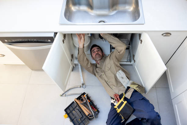 Best Water Softener Installation  in Hamilton, GA